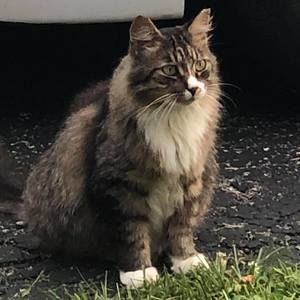 Meet your Posher, Jack